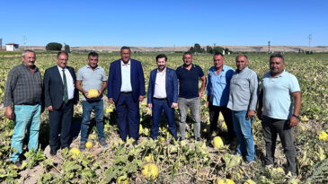 İKLİM DEĞİŞİKLİĞİ KABAK TADI VERDİ…