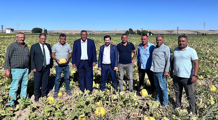 İKLİM DEĞİŞİKLİĞİ KABAK TADI VERDİ…