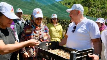 KOZAN ÇULLUUŞAĞI’NDA KADINLARA AKZAMBAK YETİŞTİRİCİLİĞİ EĞİTİMİ VERİLİYOR