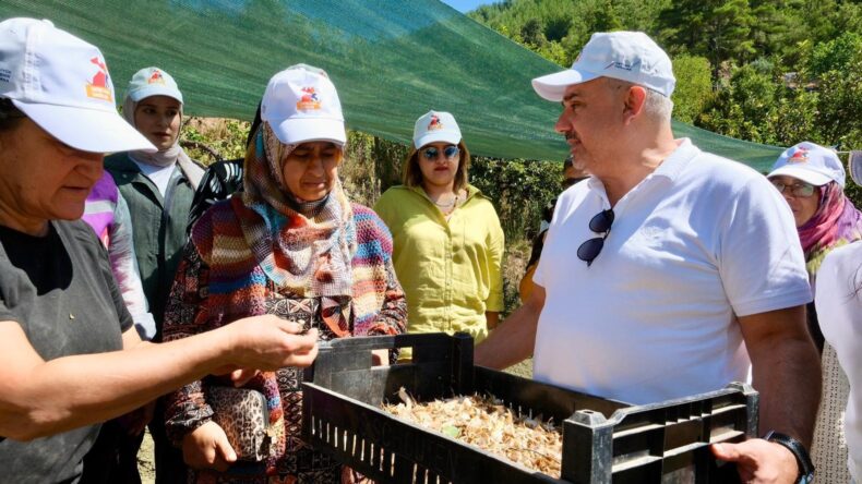 KOZAN ÇULLUUŞAĞI’NDA KADINLARA AKZAMBAK YETİŞTİRİCİLİĞİ EĞİTİMİ VERİLİYOR