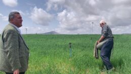 “22 YILDA YAKLAŞIK 5 İSTANBUL BÜYÜKLÜĞÜNDE TARIM ARAZİSİ KAYBETTİK”