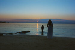 ALTIN KOZA’DA HANGİ FİLMLER YARIŞACAK?