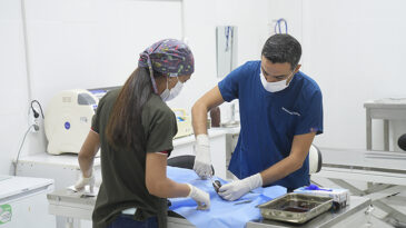 SEYHAN’DA KISIRLAŞTIRMA SEFERBERLİĞİ…