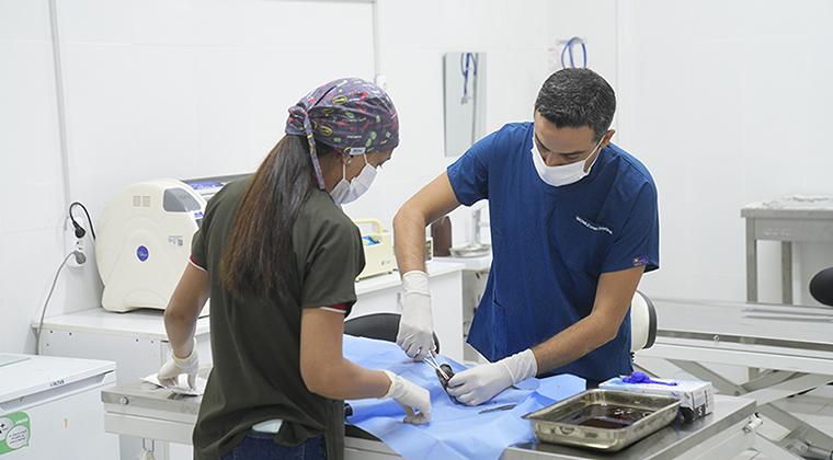 SEYHAN’DA KISIRLAŞTIRMA SEFERBERLİĞİ…