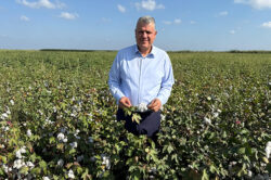 AYHAN BARUT’TAN HASAT VAKTİ PAMUK ÜRETİCİLERİNE DESTEK ÇAĞRISI