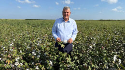 AYHAN BARUT’TAN HASAT VAKTİ PAMUK ÜRETİCİLERİNE DESTEK ÇAĞRISI