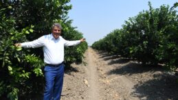 “YETERSİZ DESTEKLER REVİZE EDİLSİN”