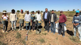 BU NASIL BİR İŞ? – ÇİFTÇİ TARLADA BIRAKIYOR, TÜKETİCİ RAFTAN ALAMIYOR…