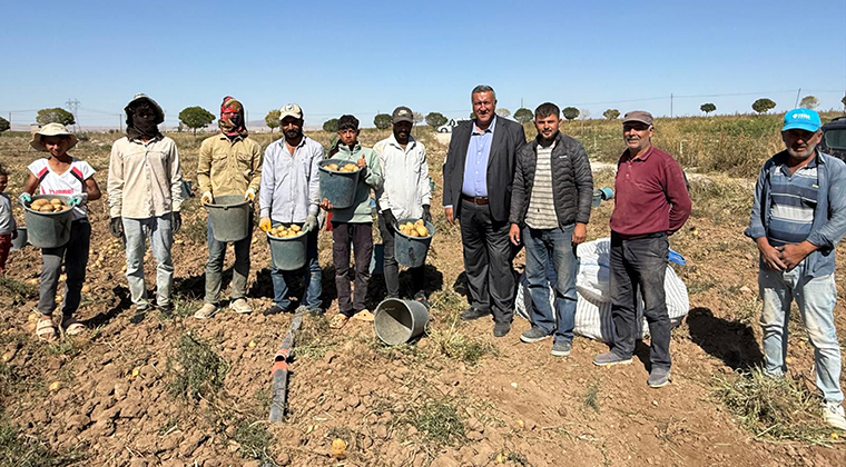 BU NASIL BİR İŞ? – ÇİFTÇİ TARLADA BIRAKIYOR, TÜKETİCİ RAFTAN ALAMIYOR…