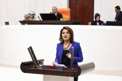 GÜLCAN KIŞ: ÖĞRETMENİ DEĞİL, SORUNLARINI DENETLEYİN!