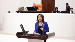 GÜLCAN KIŞ: ÖĞRETMENİ DEĞİL, SORUNLARINI DENETLEYİN!