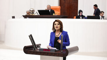 GÜLCAN KIŞ: ÖĞRETMENİ DEĞİL, SORUNLARINI DENETLEYİN!