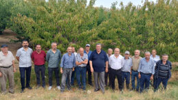 ZİRAİ DON, KURAKLIK, GİRDİ FİYATLARI… ÇİFTÇİ PERİŞAN…