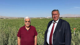 ÇİFTÇİ, PANCAR ALIM FİYATI BEKLİYOR…