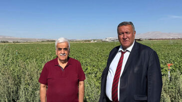 ÇİFTÇİ, PANCAR ALIM FİYATI BEKLİYOR…