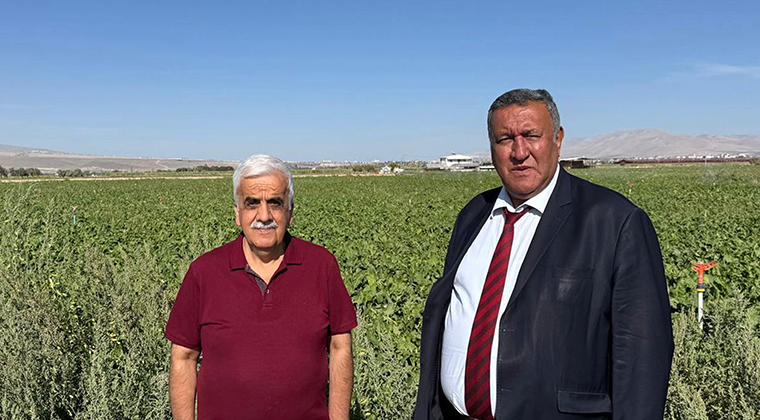 ÇİFTÇİ, PANCAR ALIM FİYATI BEKLİYOR…