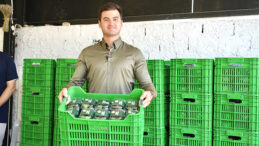 COĞRAFİ İŞARETLİ BODRUM MANDALİNASINDA HEDEF 40 TON…