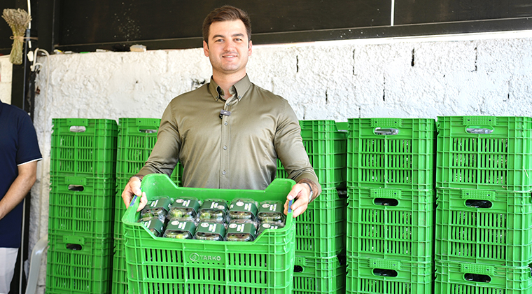 COĞRAFİ İŞARETLİ BODRUM MANDALİNASINDA HEDEF 40 TON…