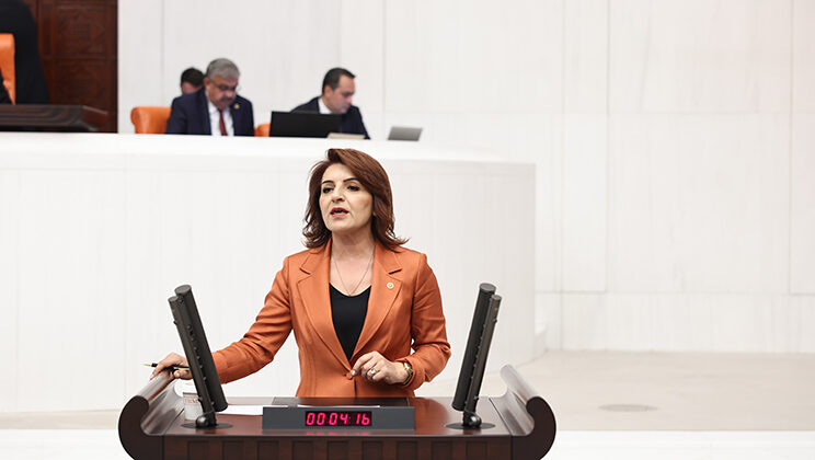 ÖNCE İHRACAT YASAĞI, ŞİMDİ İTHALAT: AKP MERSİNLİ ÜRETİCİNİN EMEĞİNE LİMON SIKIYOR