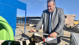 ÖMER FETHİ GÜRER SORDU: BÜYÜKBAŞ HAYVAN İTHALATI KİMLERE KAZANDIRIYOR?