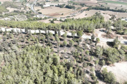 SEYHAN BELEDİYESİ’NDEN SOKAK HAYVANLARI İÇİN GÜZEL HAMLE…