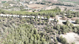 SEYHAN BELEDİYESİ’NDEN SOKAK HAYVANLARI İÇİN GÜZEL HAMLE…