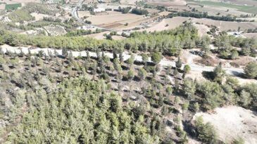 SEYHAN BELEDİYESİ’NDEN SOKAK HAYVANLARI İÇİN GÜZEL HAMLE…