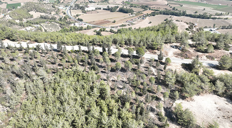 SEYHAN BELEDİYESİ’NDEN SOKAK HAYVANLARI İÇİN GÜZEL HAMLE…