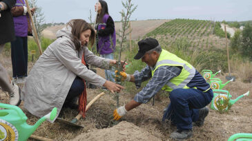 KADINLAR ŞİDDETSİZ BİR DÜNYA İÇİN FİDAN DİKTİ