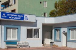 SEYHAN BELEDİYESİ’NDEN YANIT GELDİ, İŞTE DETAYLAR