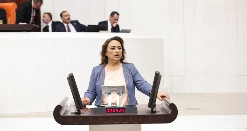 ÇİFTÇİLERİN MAĞDURİYETİ TBMM GÜNDEMİNDE