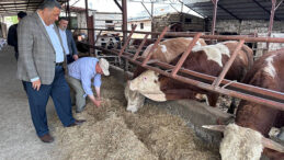 CHP’Lİ GÜRER: “ASGARİ ÜCRET CEBE GİRMEDEN ET FİYATI ARTTI”