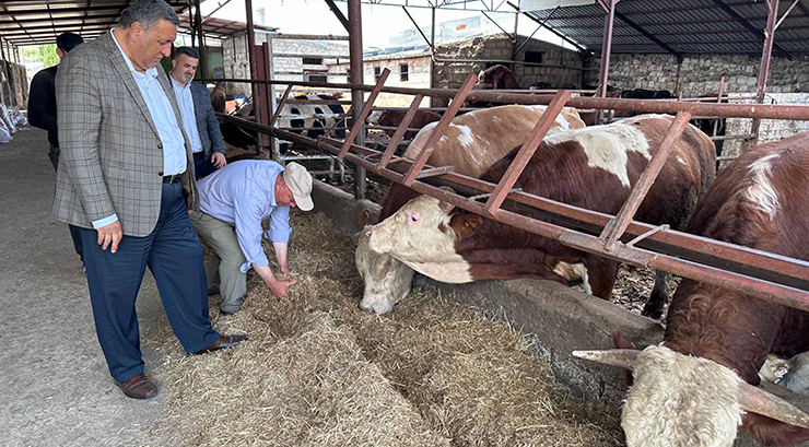 CHP’Lİ GÜRER: “ASGARİ ÜCRET CEBE GİRMEDEN ET FİYATI ARTTI”