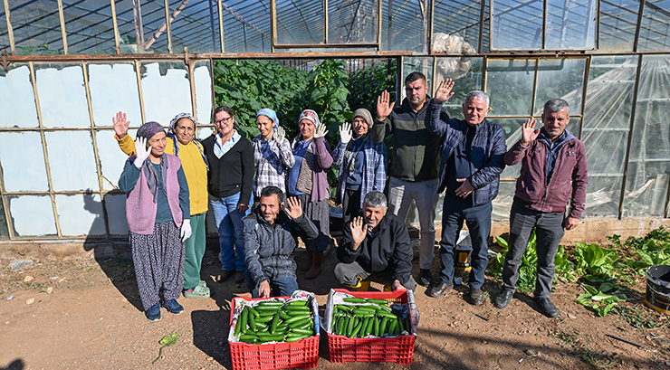 BÜYÜKŞEHİR’İN HIYAR FİDESİ DESTEĞİ AYDINCIK’TA HASADA DÖNÜŞTÜ