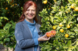 MERSİN KAN PORTAKALI COĞRAFİ İŞARET TESCİLİNİ ALDI