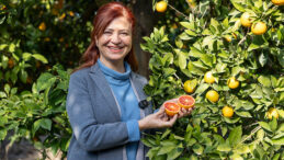 MERSİN KAN PORTAKALI COĞRAFİ İŞARET TESCİLİNİ ALDI