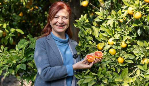 MERSİN KAN PORTAKALI COĞRAFİ İŞARET TESCİLİNİ ALDI
