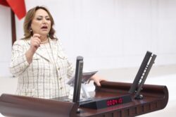 MÜZEYYEN ŞEVKİN: “AKP, YEREL YÖNETİMLERİ DEVRE DIŞI BIRAKMAK İSTİYOR”