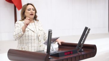 MÜZEYYEN ŞEVKİN: “AKP, YEREL YÖNETİMLERİ DEVRE DIŞI BIRAKMAK İSTİYOR”