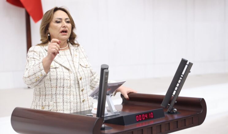 MÜZEYYEN ŞEVKİN: “AKP, YEREL YÖNETİMLERİ DEVRE DIŞI BIRAKMAK İSTİYOR”