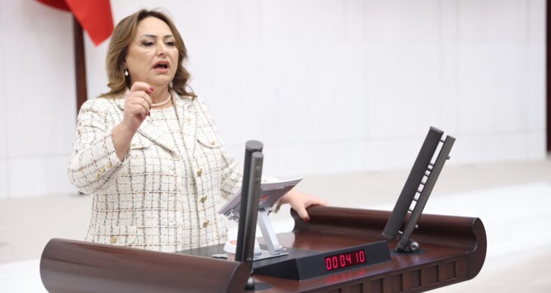 MÜZEYYEN ŞEVKİN, EMEKLİLERİN BAYRAM İKRAMİYESİNİN ARTIRILMASI İÇİN KANUN TEKLİFİ VERDİ