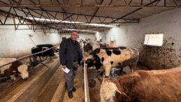 GÜRER:”ŞAP HASTALIĞI HAYVANCILIĞI VURUYOR!”