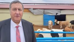 GÜRER: “AKP’NİN 2026 YILI TERCİHİ ÇÖZÜM DEĞİL, YİNE İTHALAT!”