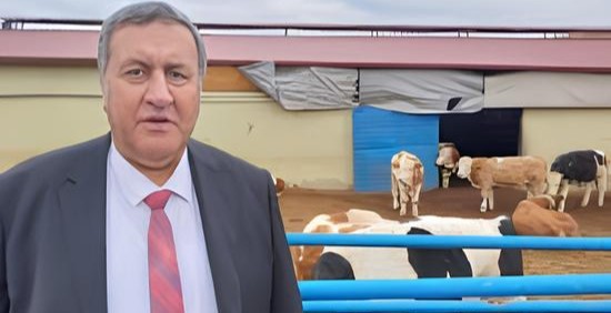 GÜRER: “AKP’NİN 2026 YILI TERCİHİ ÇÖZÜM DEĞİL, YİNE İTHALAT!”