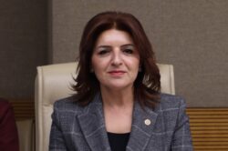 GÜLCAN KIŞ: “BU TORBA YASA YEREL YÖNETİMLERİ SARAY İZNİNE BAĞLAMA GİRİŞİMİDİR” 