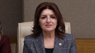 GÜLCAN KIŞ: “BU TORBA YASA YEREL YÖNETİMLERİ SARAY İZNİNE BAĞLAMA GİRİŞİMİDİR” 