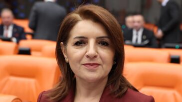 ÇOCUK CİNAYETLERİ SİSTEMİN ÇÖKÜŞÜDÜR