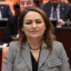 CHP’Lİ ŞEVKİN, TÜM İLÇELERİ TEK TEK SIRALADI, SORUNLARIN ÇÖZÜMÜNÜ İSTEDİ