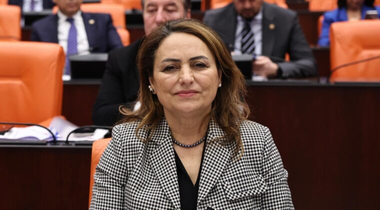 CHP’Lİ ŞEVKİN, TÜM İLÇELERİ TEK TEK SIRALADI, SORUNLARIN ÇÖZÜMÜNÜ İSTEDİ