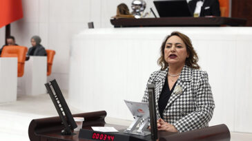 MÜZEYYEN ŞEVKİN: “KADIN SIĞINMAEVİ SAYISI ARTMAK YERİNE AZALIYOR”